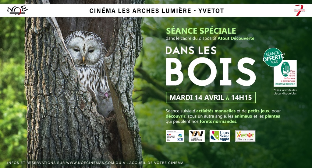 CINÉMA LES ARCHES LUMIÈRE - YVETOT